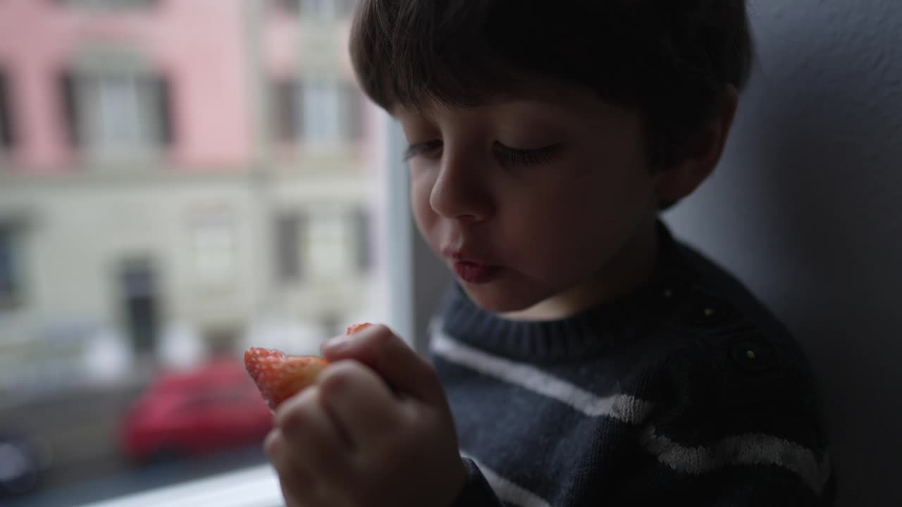 小男孩在窗边吃草莓。孩子正在吃一口健康营养的水果视频素材