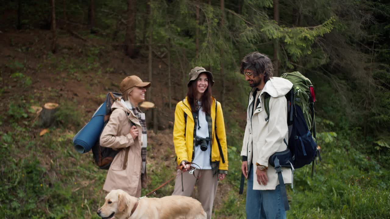 三个徒步旅行者穿着特殊的徒步旅行服，背着大背包，和他们的浅色狗一起在森林中央交流视频素材