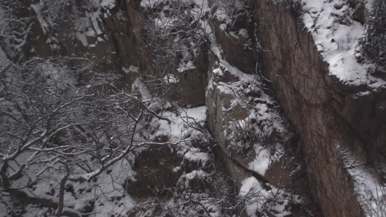 雪崖/檀园区，安山市，京畿道，韩国视频素材