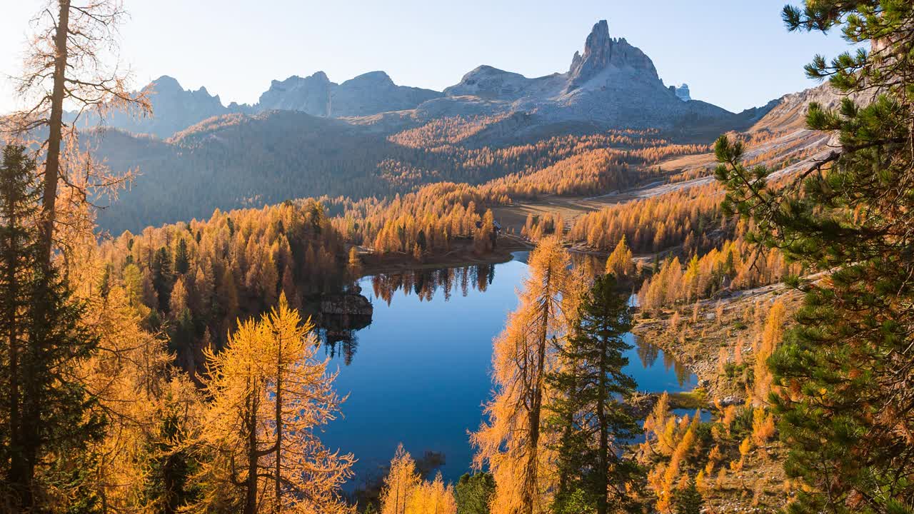 风景如画的山湖全景，橙色的落叶松视频素材