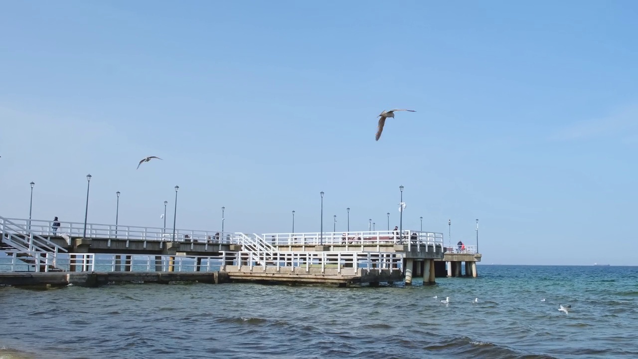 索波特莫洛码头是欧洲最长的码头。波罗的海和太阳。海鸥在波罗的海的海滩上飞翔，寻找食物。节日假期视频素材