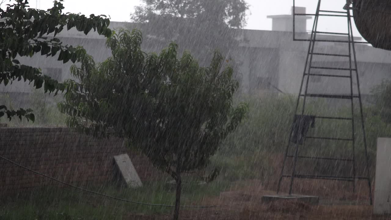 大雨视频素材