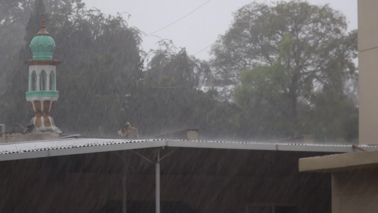 大雨视频素材