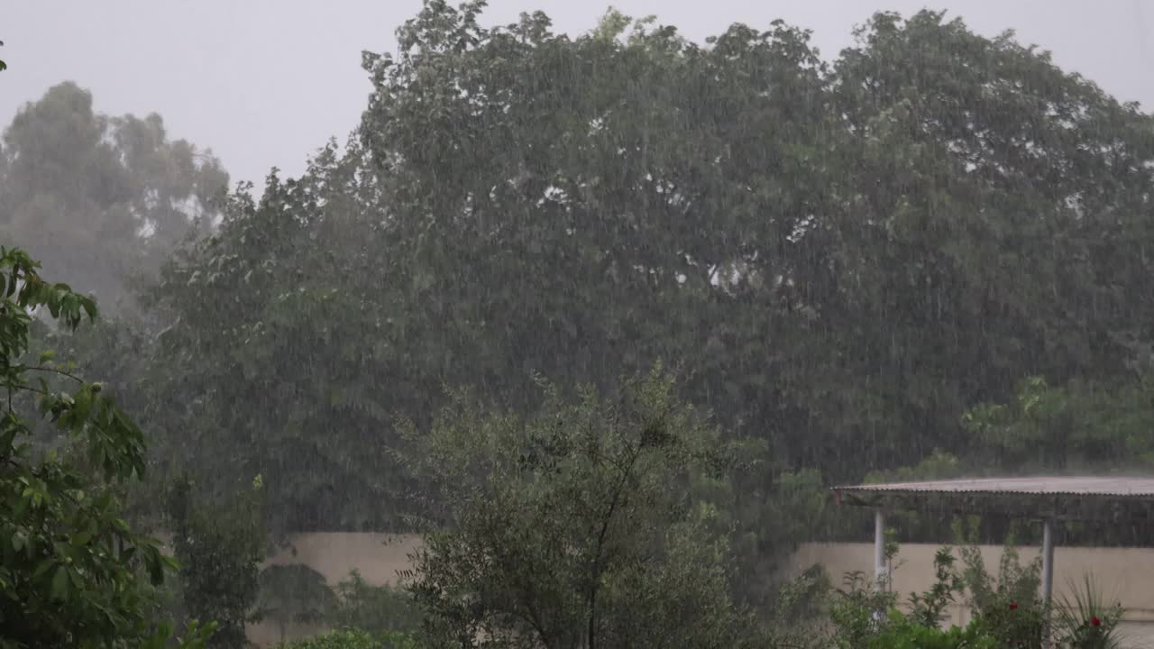 大雨视频素材