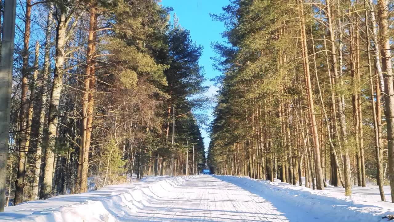 在阳光明媚的冬日森林路上开车。视频素材