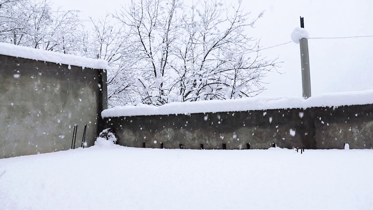 冬季风暴大雪视频素材