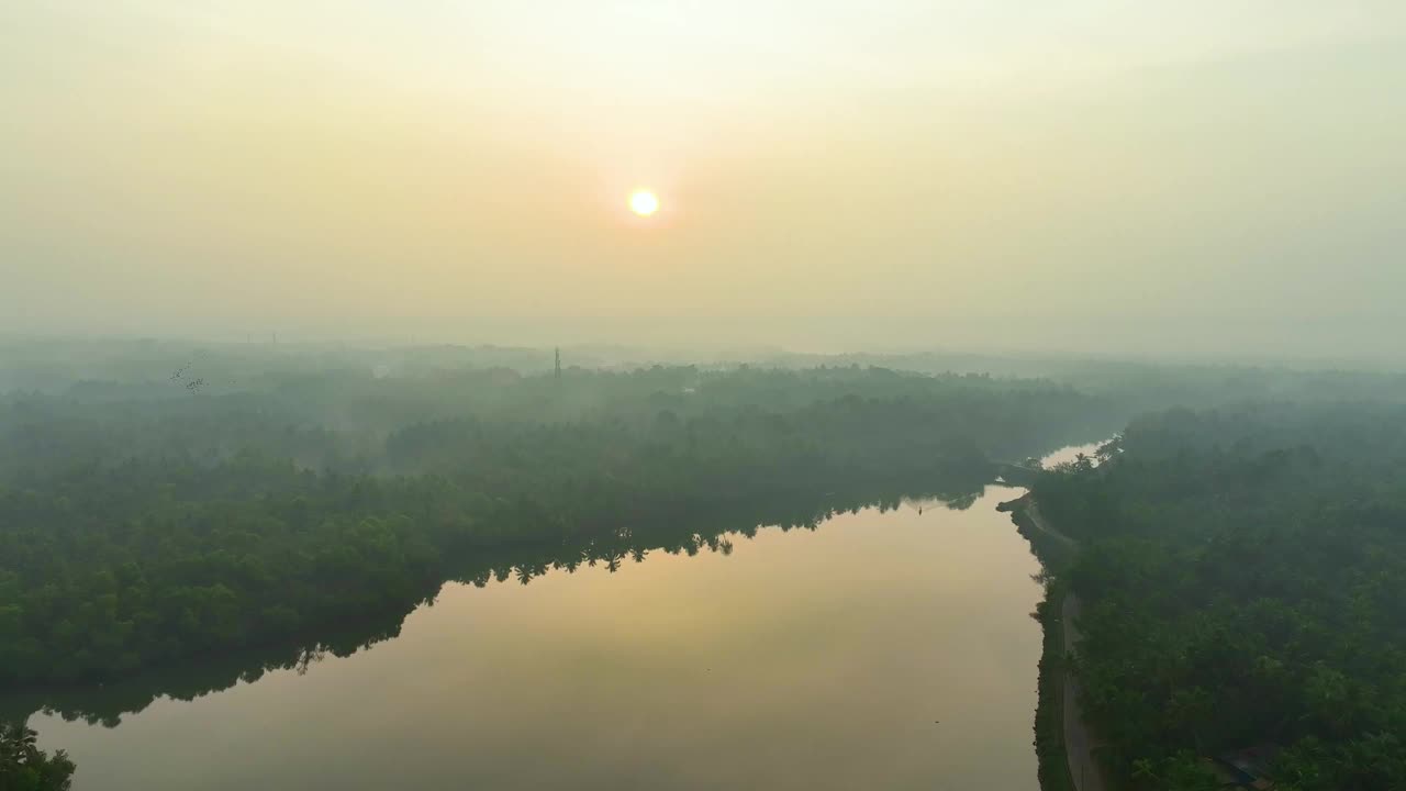 心形的红树林岛视频下载