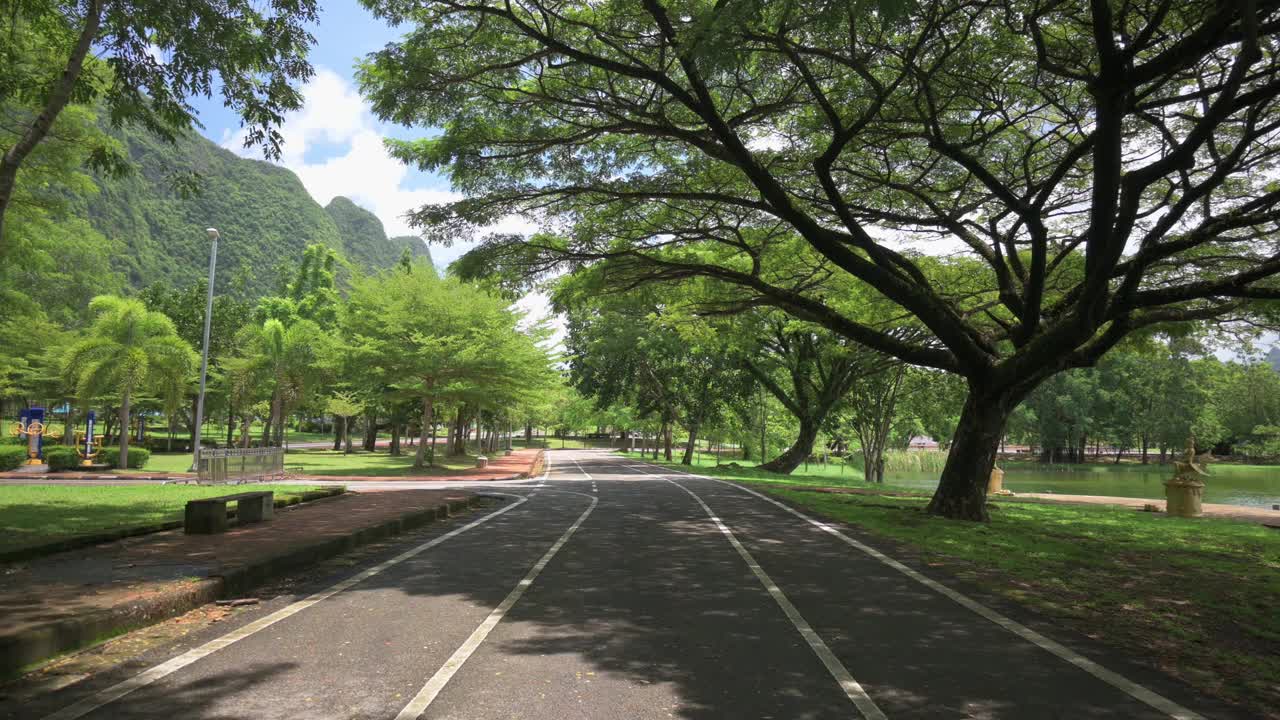 夏天在公园绿树成荫下走在空旷的马路上。视频素材