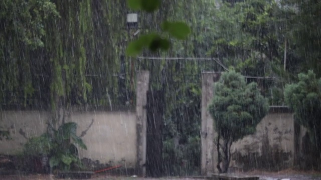 雨视频素材