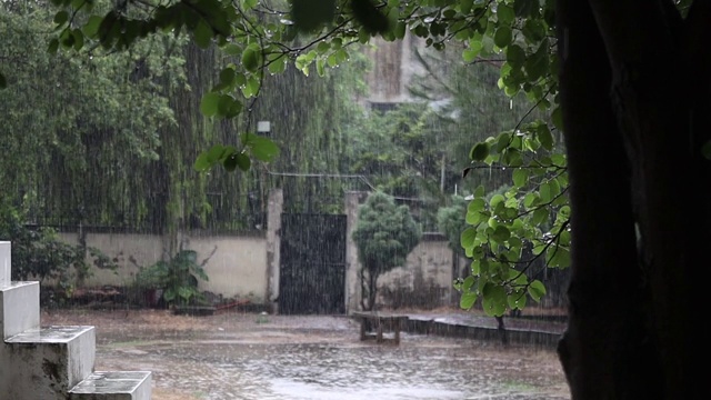 雨视频素材