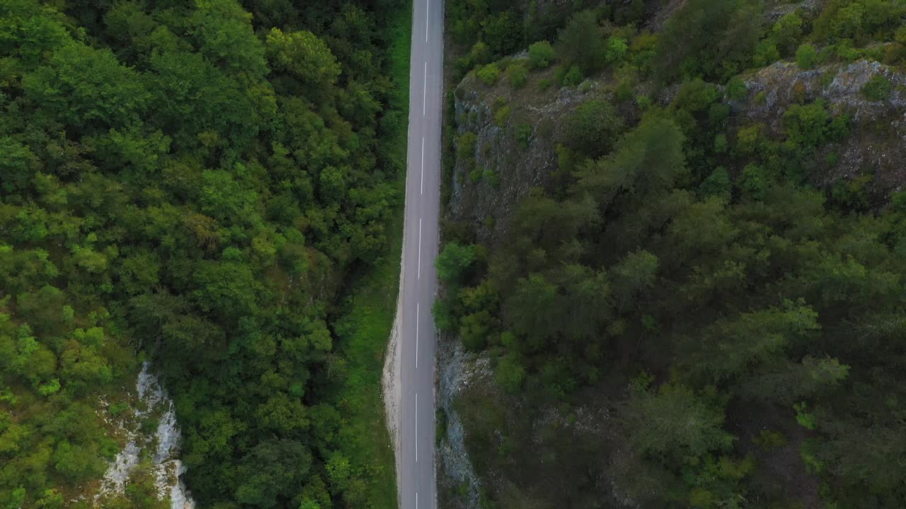 森林路上的美景视频素材