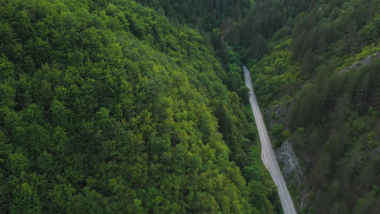 森林路上的美景视频素材