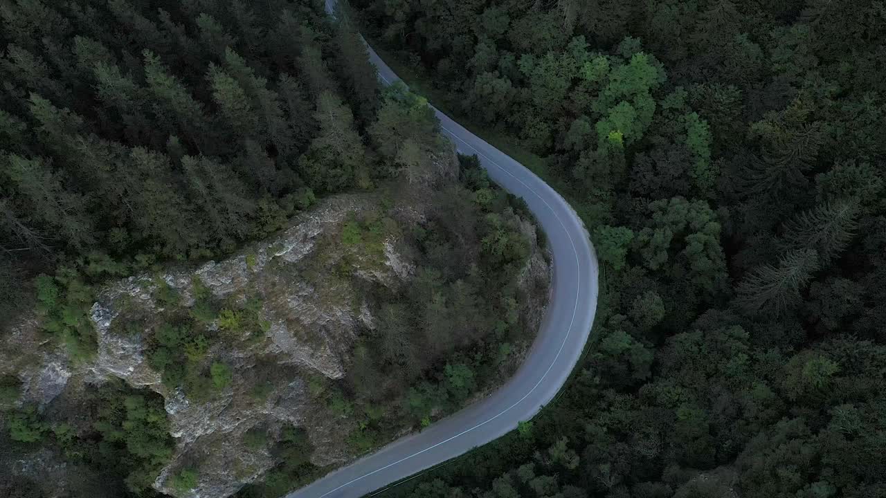 森林路上的美景视频素材