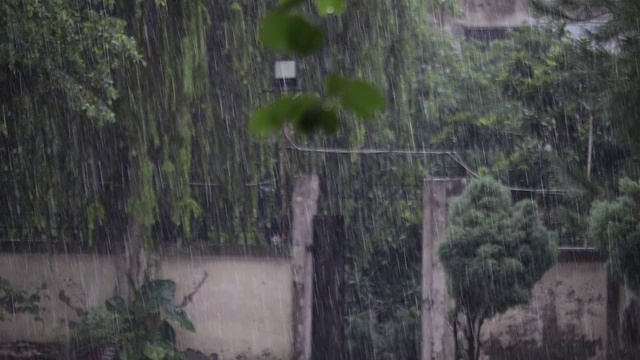 雨视频素材