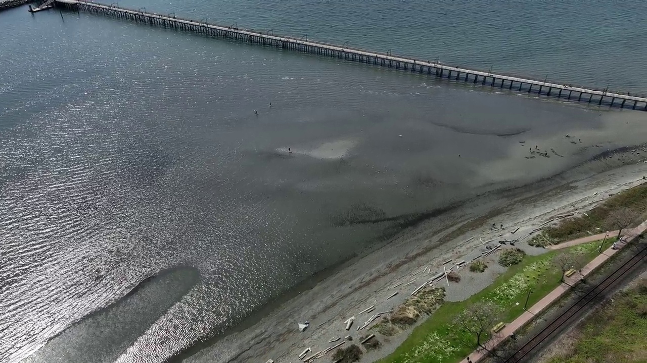 海岸线的鸟瞰图由闪亮的大海和长码头视频素材