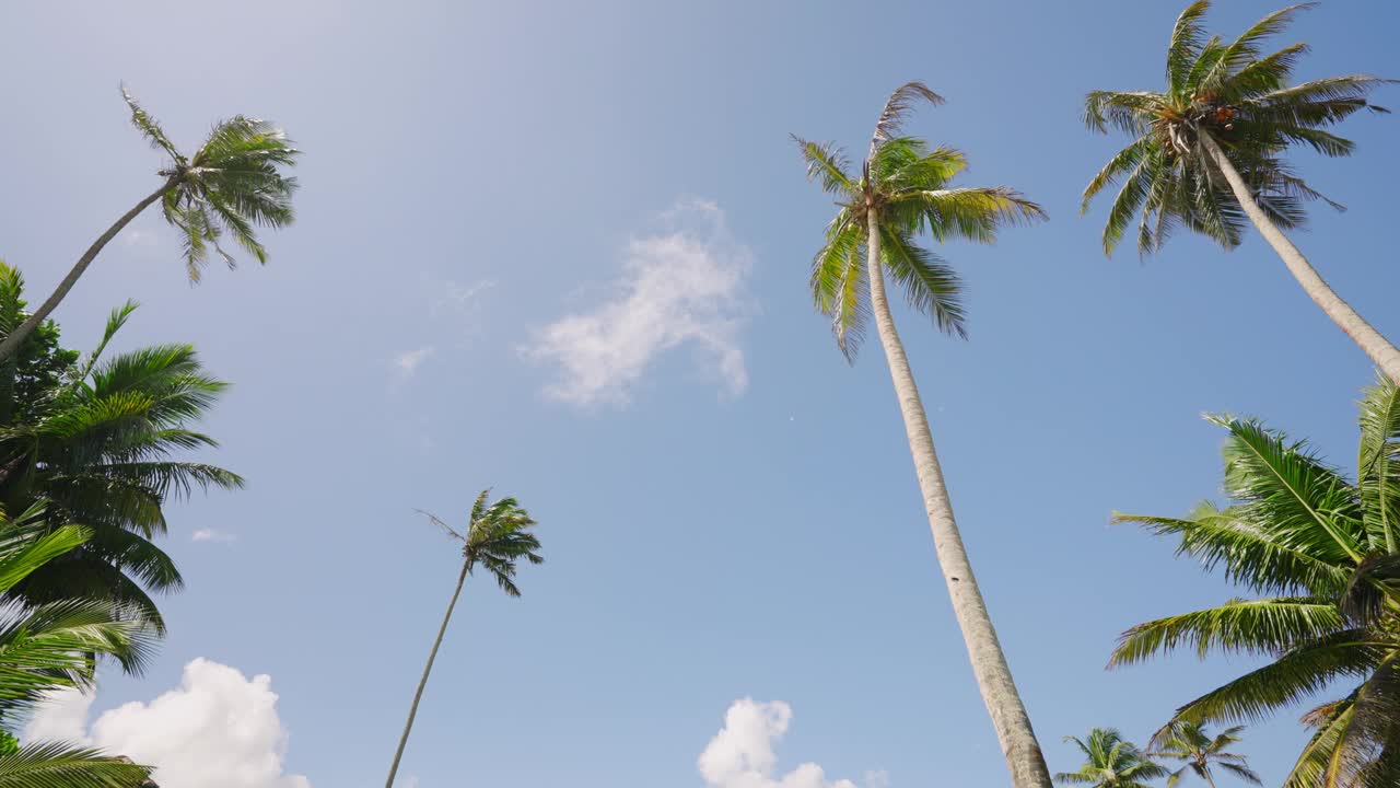 热带海岛海滩上的大型豪华旅游复古别墅在暑假期间出租。古董度假屋，复古家具，游泳池和棕榈树在海岸线的后院。视频素材