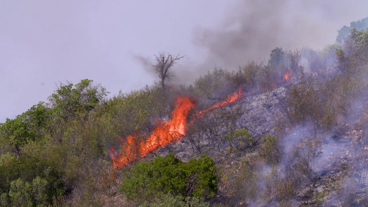 山区森林大火产生的巨大热量使空气振动。视频素材