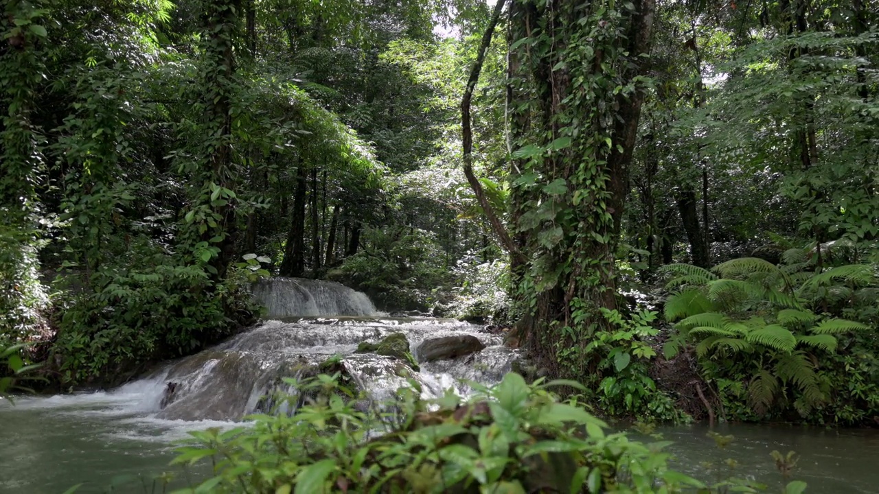 在雨林的晨光下，沿着美丽的小瀑布徒步旅行，周围是绿色的植物。视频素材