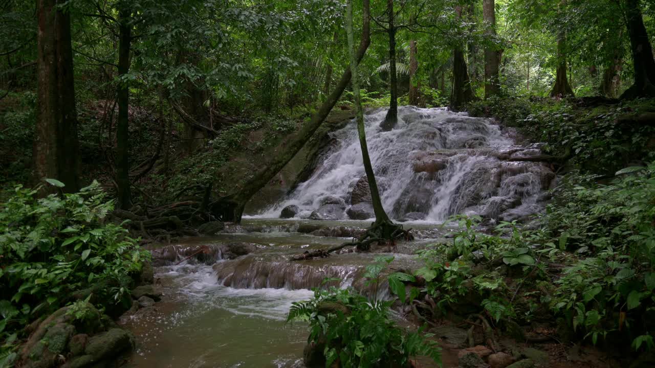 美丽宁静的瀑布景色，水迅速流过岩石，穿过茂密的树叶植物在雨林中。视频素材