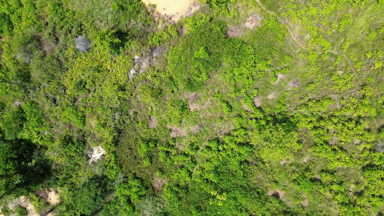 热带雨林鸟瞰图。这片森林位于纳尼沃塔邦国家公园地区视频素材