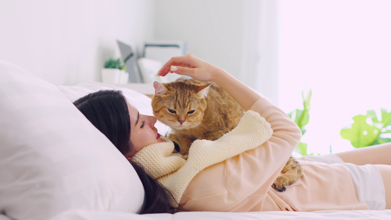 亚洲妇女抱着小猫在家里快乐地玩耍。迷人美丽的女人躺在床上，度过闲暇时间拥抱和按摩她的宠物动物与温柔的卧室在家里。视频素材