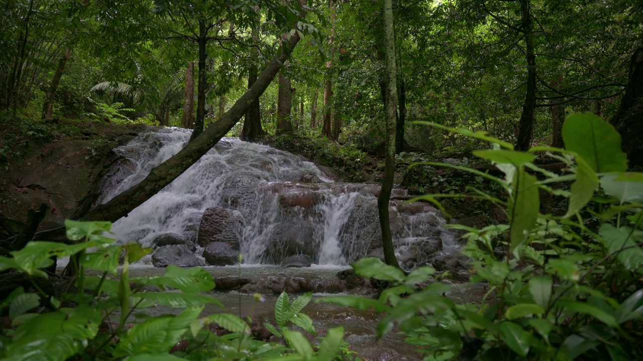 瀑布的美丽景色，水从山上流过岩石，穿过茂密的树叶植物在雨林中。视频素材