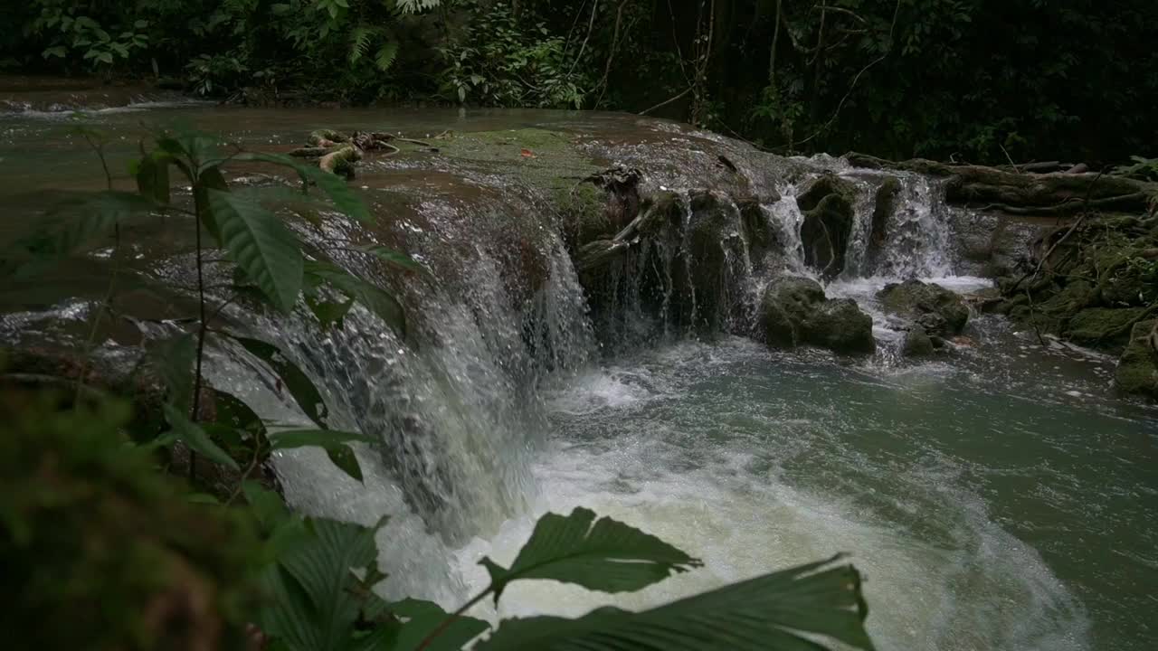 水流湍急地越过瀑布流入热带雨林的天然池塘。视频素材