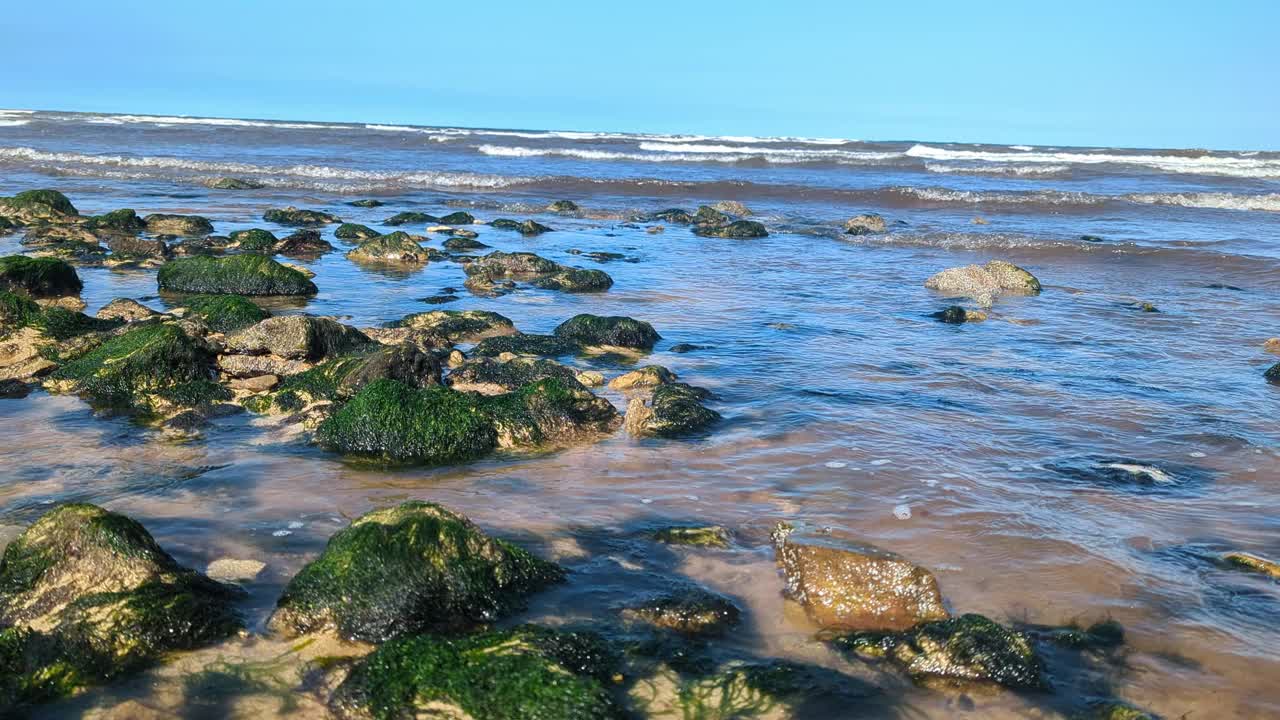 退潮时的海岸露出长满海藻的岩石视频素材