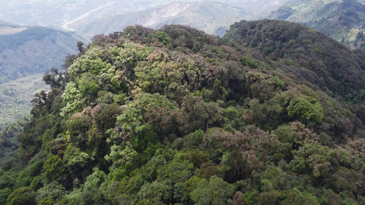 山顶立交桥:茂密的绿色丛林在崎岖的山上视频素材