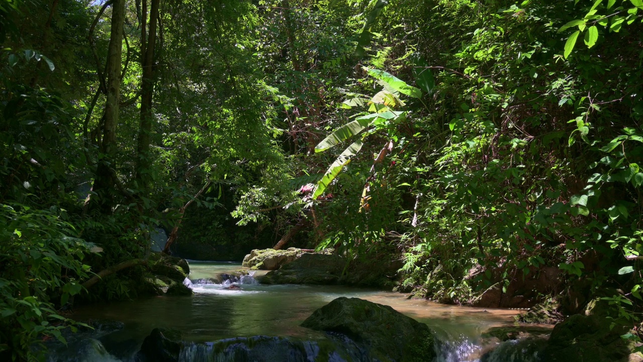 宁静的风景，水流穿过岩石，周围环绕着茂密的树叶植物在阳光下的雨林。视频素材