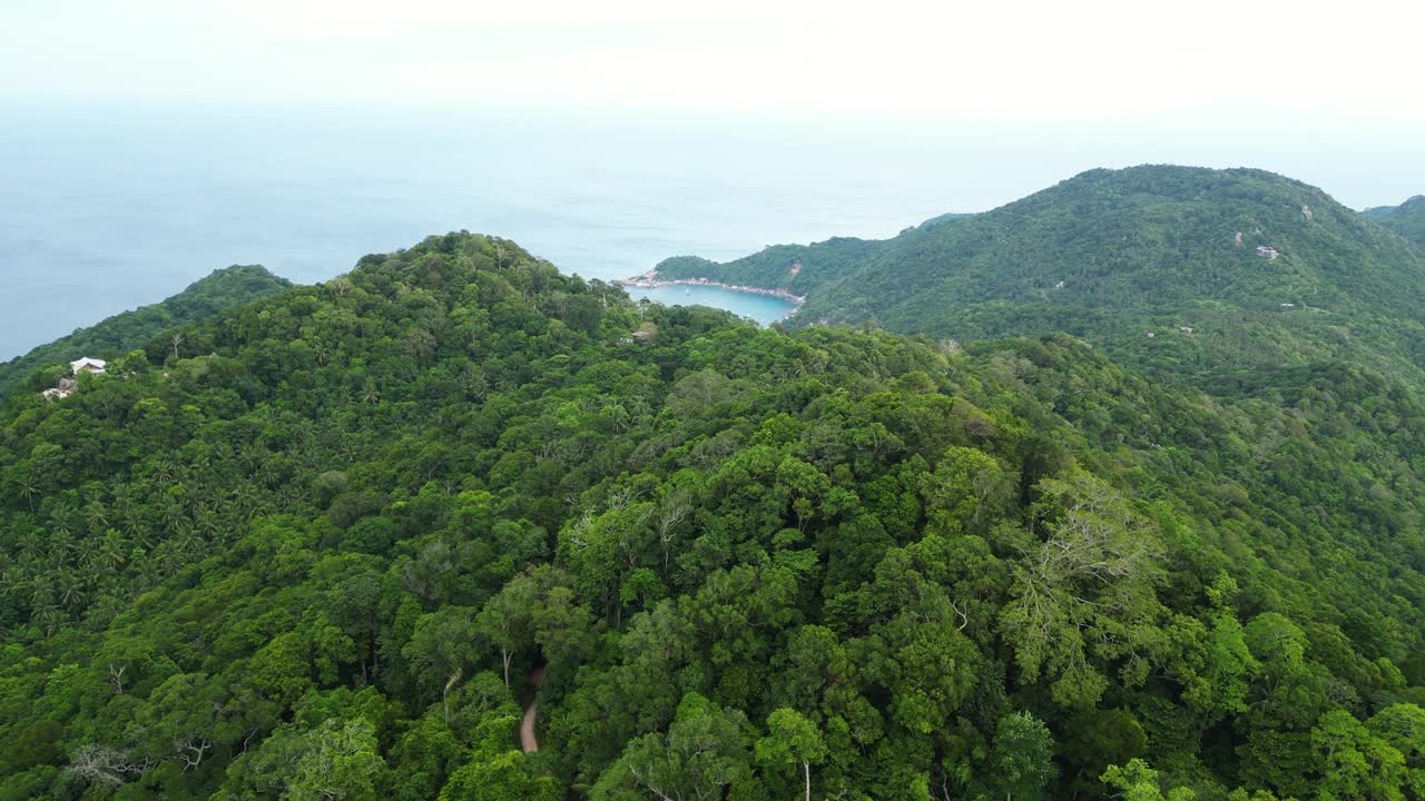 芒果湾在涛岛周围的珊瑚礁，郁郁葱葱的青山，泰国，鸟瞰图视频素材