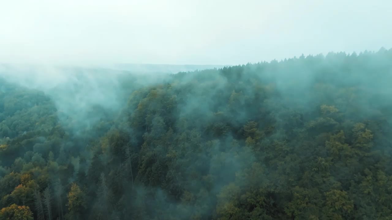 在一片郁郁葱葱的森林的峰顶之上，笼罩着一层薄雾。空中视频素材