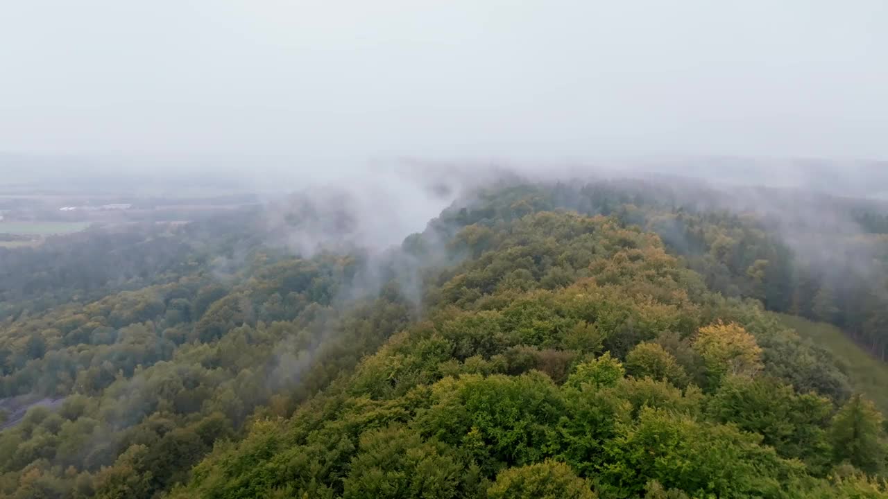 风景如画的薄雾笼罩着树木和植被的天空。空中视频素材