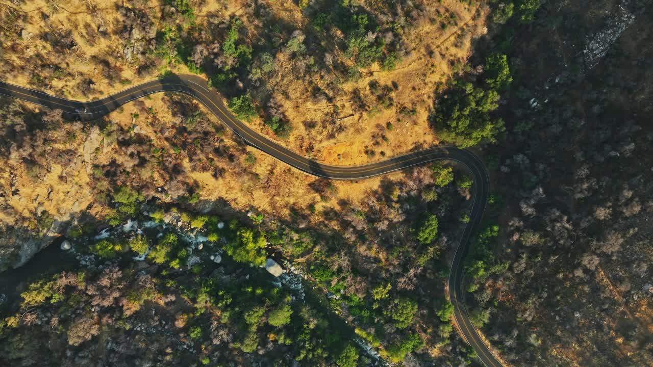 树林中蜿蜒道路的鸟瞰图视频素材