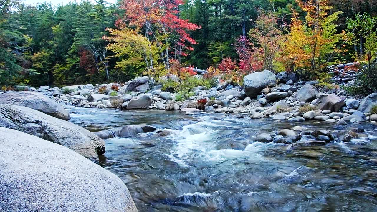 河水流淌着石头，周围是秋天的彩色树木视频素材