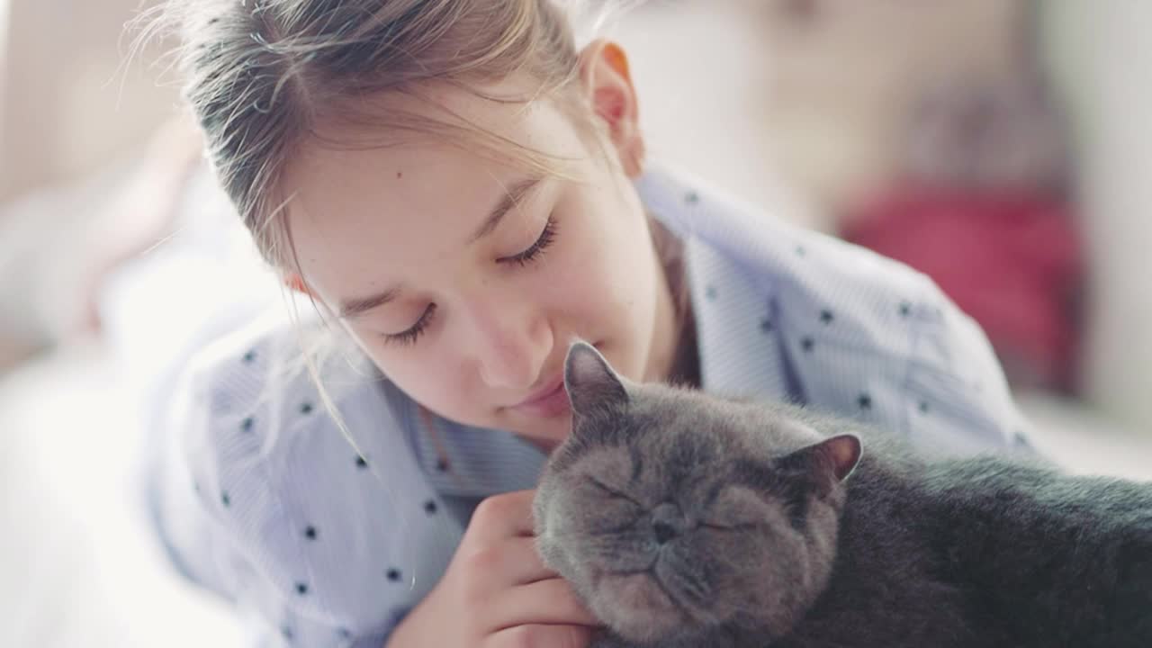 女孩一边看书一边抚摸着一只灰猫。可爱的白猫躺在一个看书的孩子旁边，花时间陪宠物。一只毛茸茸的灰猫坐在主人的怀里亲吻她。视频素材