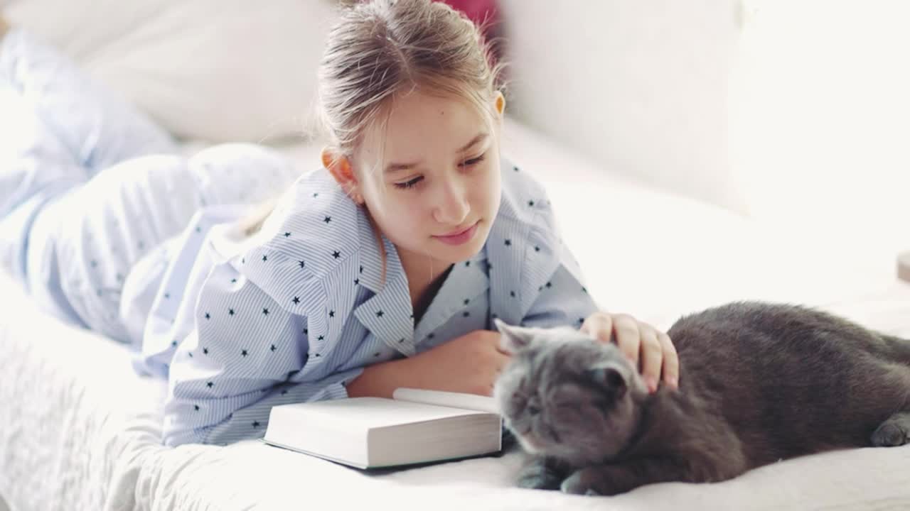 女孩一边看书一边抚摸着一只灰猫。可爱的白猫躺在一个看书的孩子旁边，花时间陪宠物。一只毛茸茸的灰猫坐在主人的怀里亲吻她。视频素材