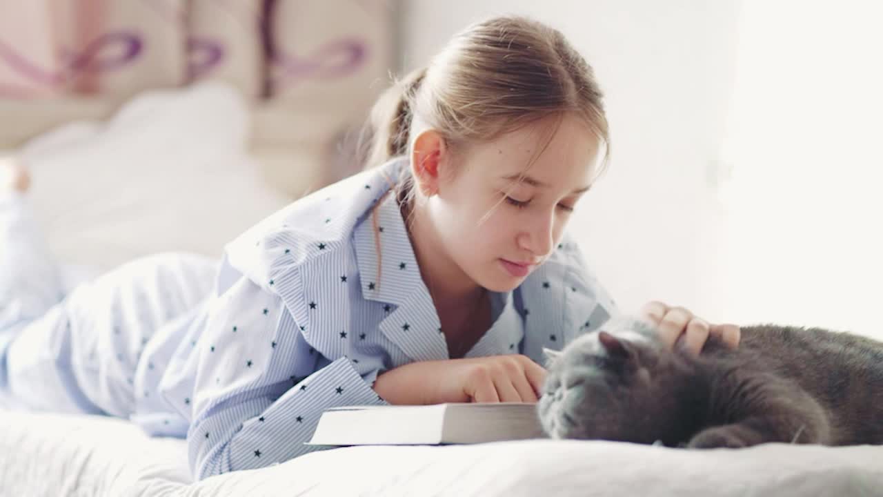 女孩一边看书一边抚摸着一只灰猫。可爱的白猫躺在一个看书的孩子旁边，花时间陪宠物。一只毛茸茸的灰猫坐在主人的怀里亲吻她。视频素材