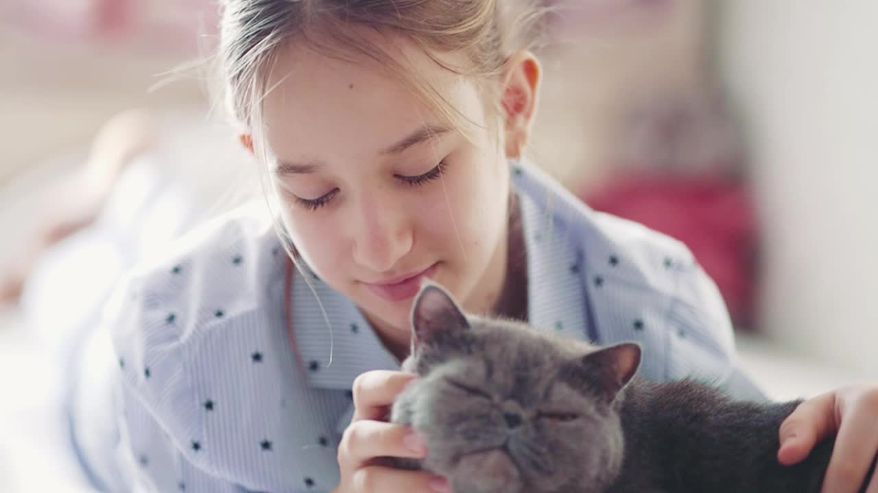 女孩一边看书一边抚摸着一只灰猫。可爱的白猫躺在一个看书的孩子旁边，花时间陪宠物。一只毛茸茸的灰猫坐在主人的怀里亲吻她。视频素材