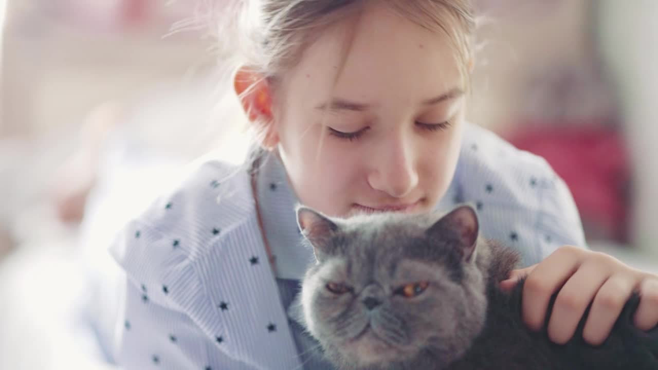 女孩一边看书一边抚摸着一只灰猫。可爱的白猫躺在一个看书的孩子旁边，花时间陪宠物。一只毛茸茸的灰猫坐在主人的怀里亲吻她。视频素材