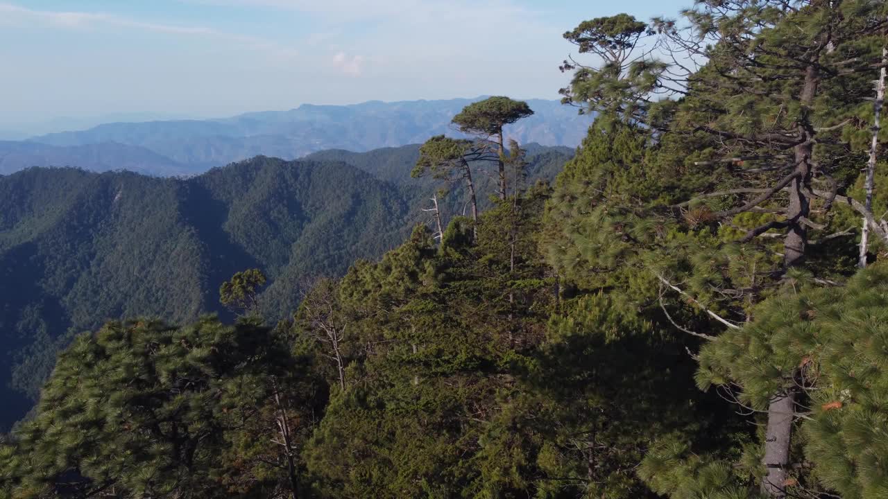 清脆的山林前景与朦胧的遥远山脉形成鲜明对比视频素材