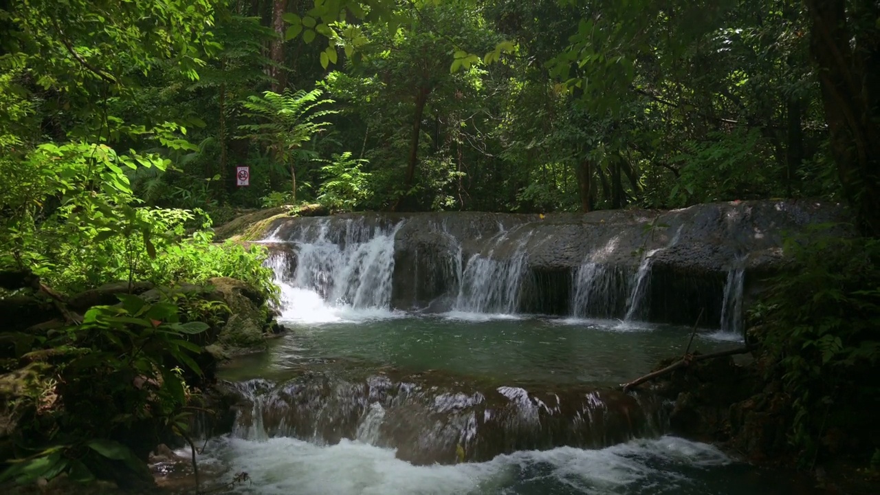 田园诗般的瀑布场景，水流过岩石，周围是茂密的热带雨林植物。抬升投篮。视频素材