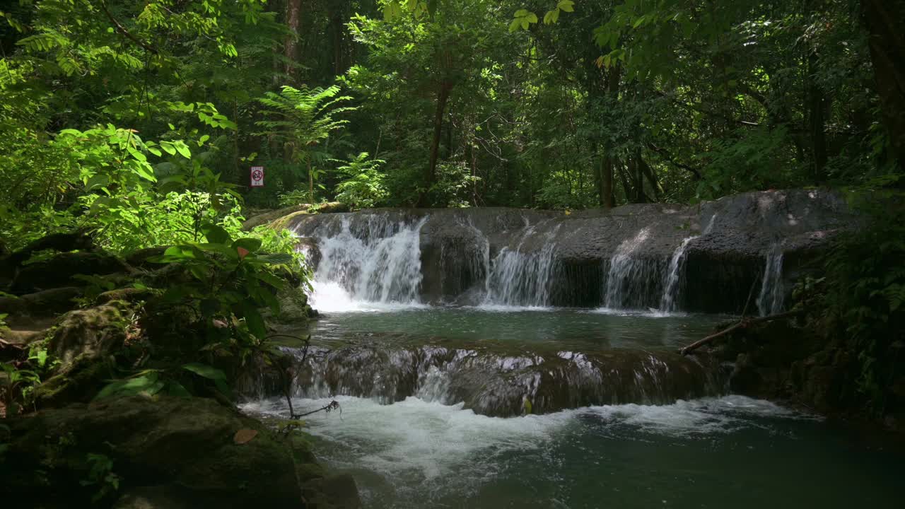 美丽的瀑布景色，水流经苔藓环绕的岩石茂密的树叶植物在阳光下的雨林。视频素材