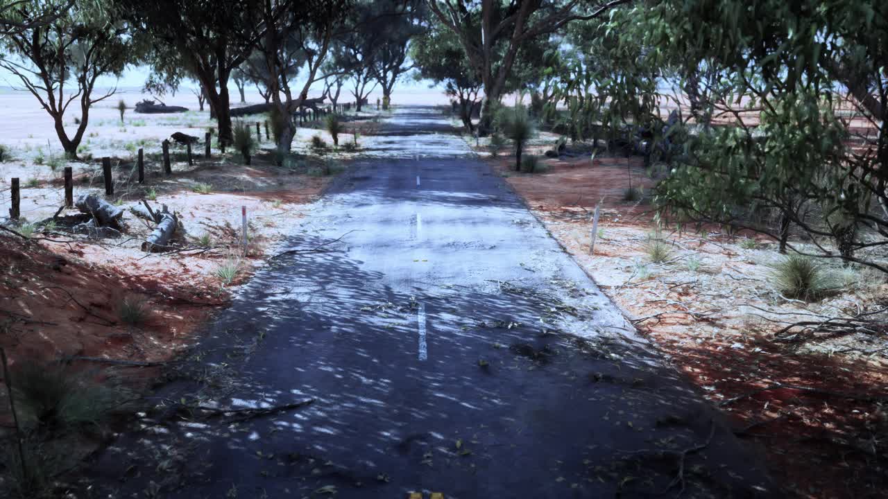 一条风景优美的道路蜿蜒穿过茂密的森林视频素材