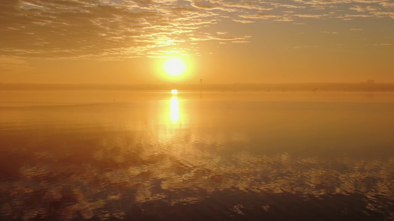 苍鹭站在岩石旁，金色的夕阳映照在波光粼粼的水面上视频素材