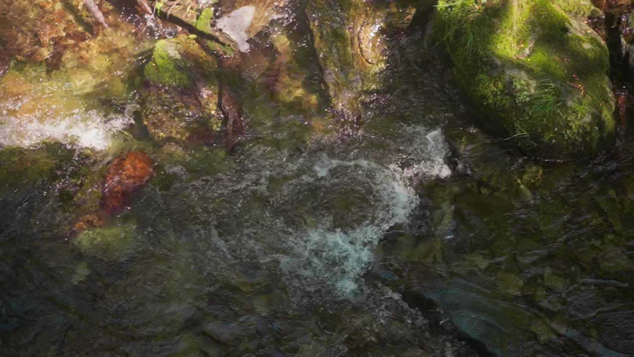 湍急的水流穿过阴凉森林中的瀑布视频素材