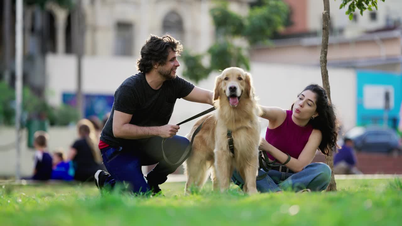 周末活动时，一对夫妇带着他们漂亮的金毛猎犬在公园里闲逛视频素材