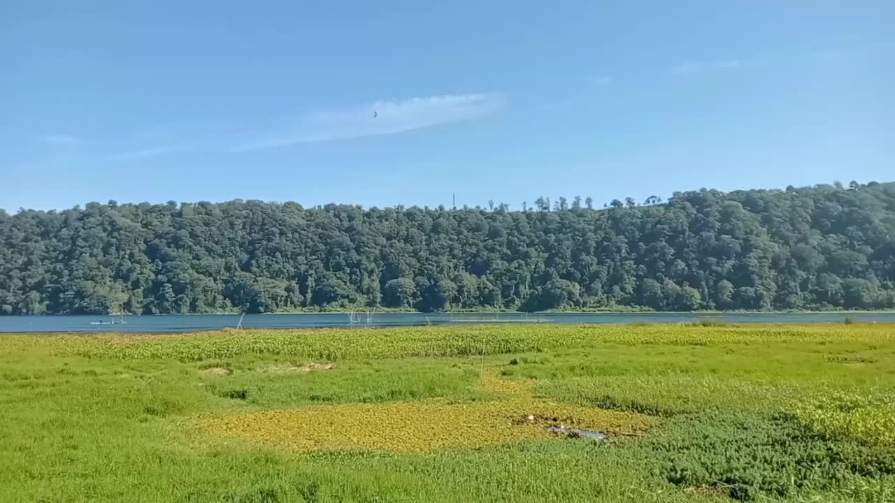 巴厘岛布延湖岸边露营地的美丽景色视频下载