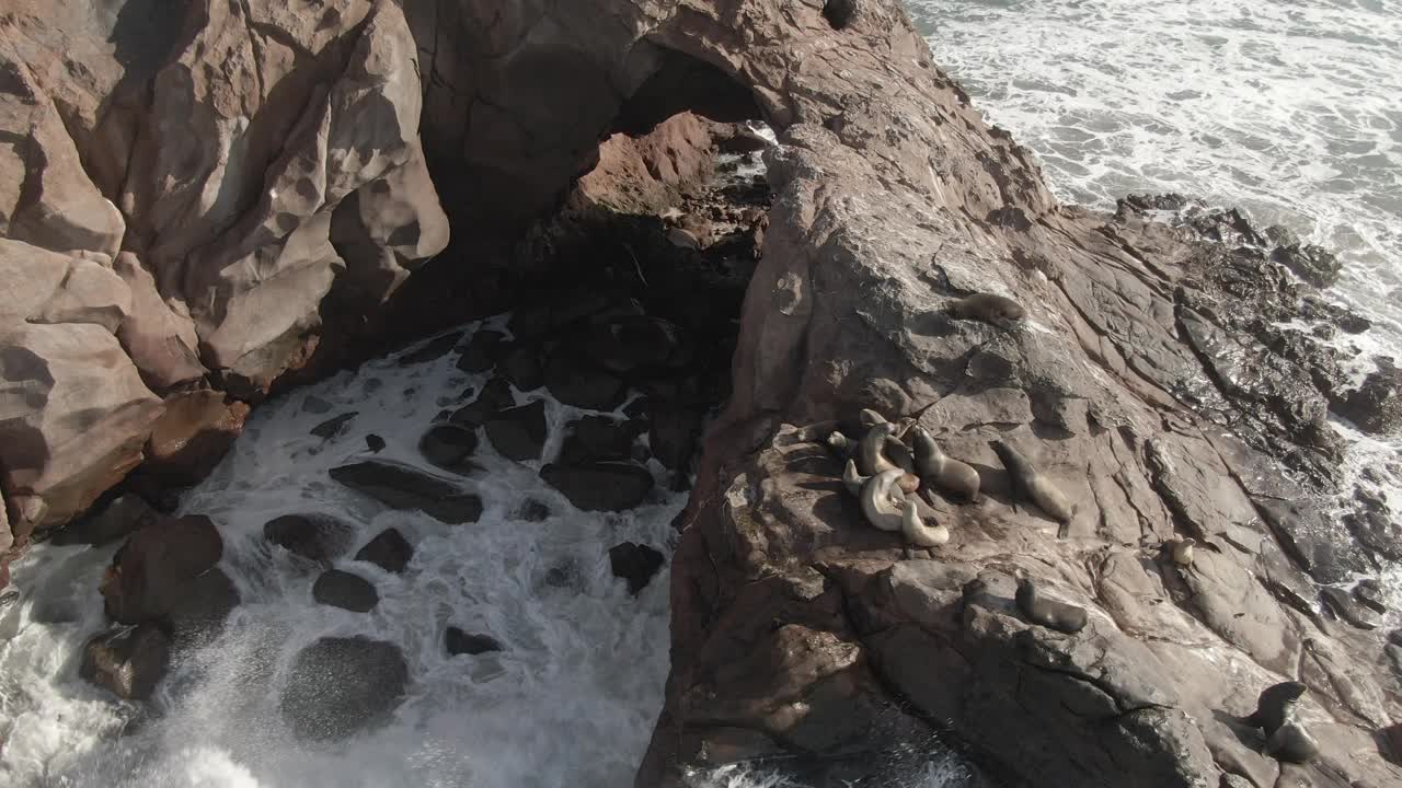 航拍显示在海湾的巴哈半岛海岸的石拱上远离海狮，海浪猛烈视频素材