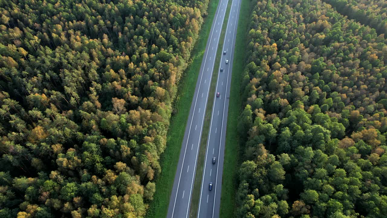 道路交通，鸟瞰图。公路在森林里，秋天有树。视频素材